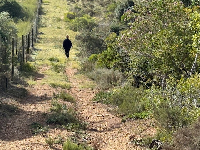 0 Bedroom Property for Sale in Kromme River Estate Eastern Cape